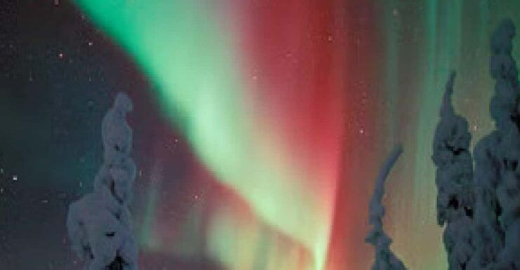 Aurora Snowshoe Trek - Experience Highlights