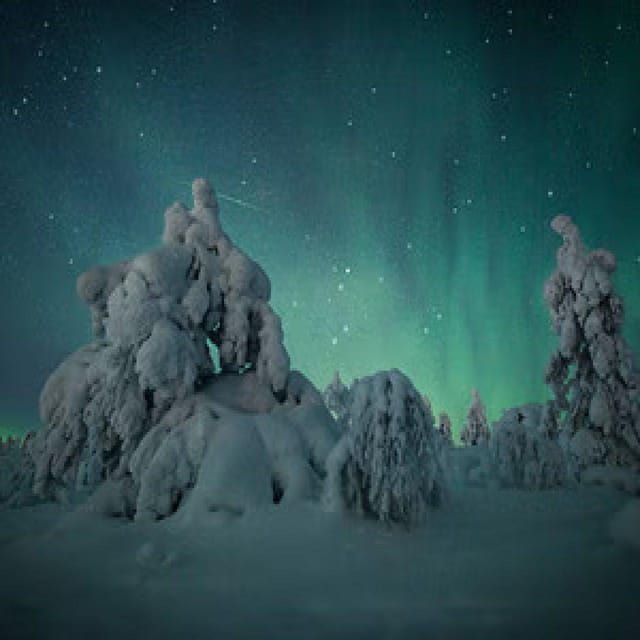 Aurora Snowshoe Trek - Age and Group Restrictions