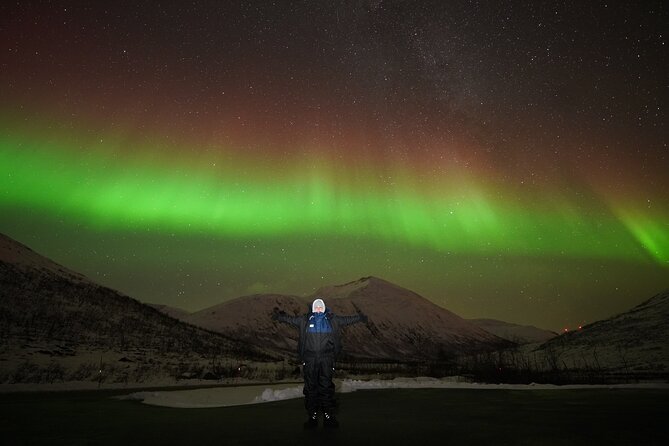 Aurora Tour - Customer Reviews