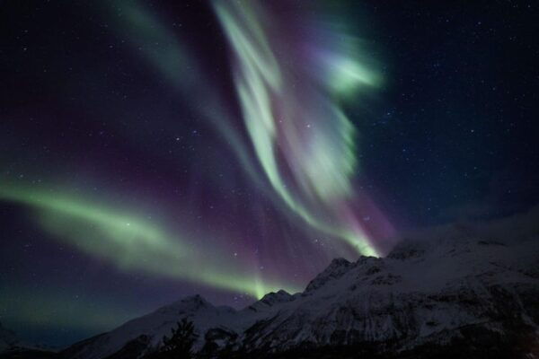 Aurora With Campfire - Boukersen Heim Guests Only - Exclusive Discount for Boukersen Heim Guests