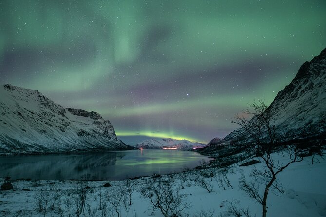 Auroras Hunt - Tour in Spanish, Northern Lights Chase in Spanish - Positive Customer Experiences