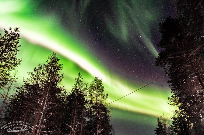 Auroras - Northern Lights Tours by Aurora Experts - Rovaniemi - Tour Details
