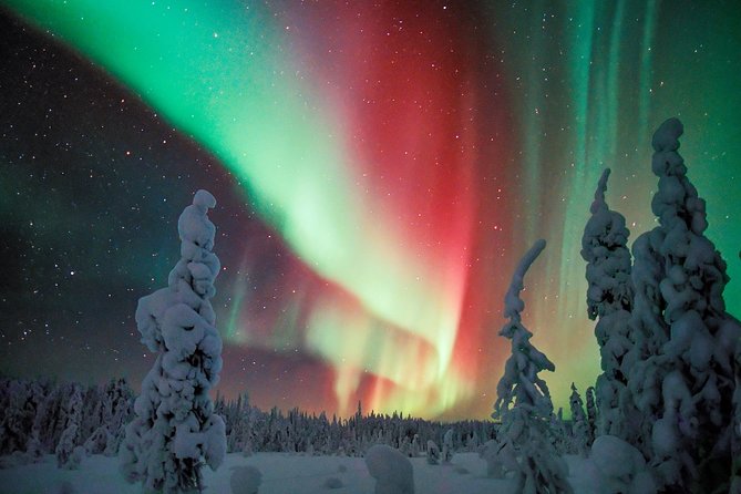 Auroras - Northern Lights Tours by Aurora Experts - Rovaniemi - Additional Information