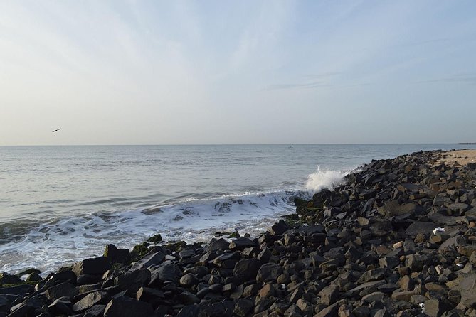 Auroville and Pondicherry Tour From Chennai - Reviews Summary