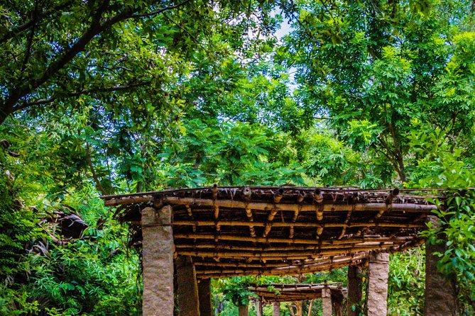 Auroville Guided Walking Tour - Frequently Asked Questions
