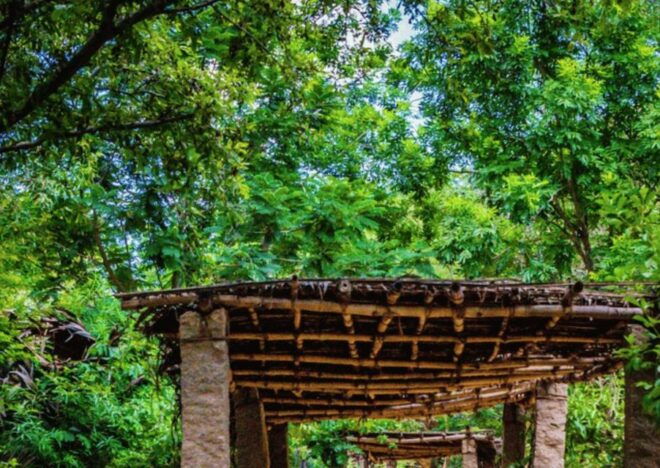 Auroville Guided Walking Tour - Cancellation Policy