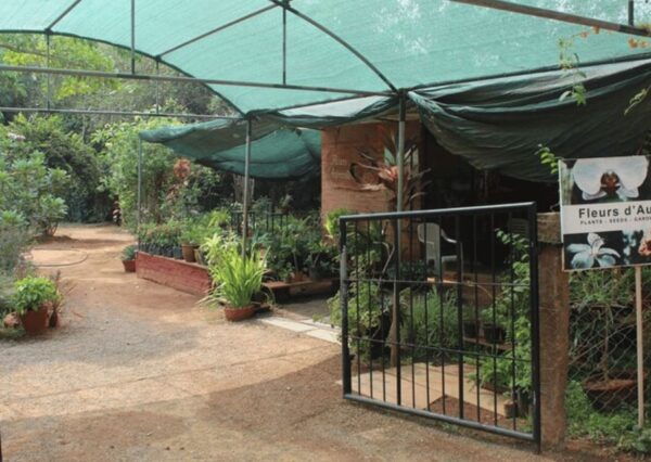 Auroville Guided Walking Tour - Frequently Asked Questions