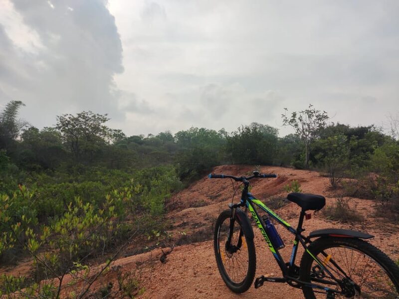 Auroville: Nature Trail Forest Cycling Adventure - FAQ