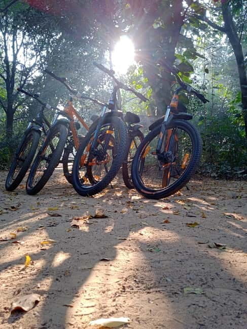Auroville: Nature Trail Forest Cycling Adventure - Good To Know