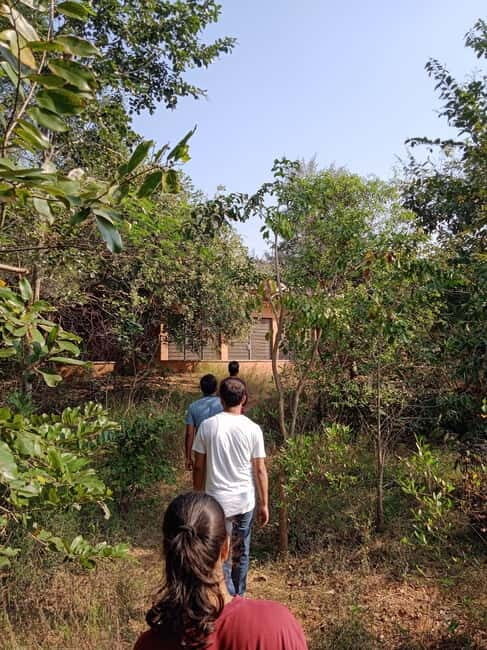 Auroville: Nature Trail Forest Cycling Adventure - The Experience Breakdown