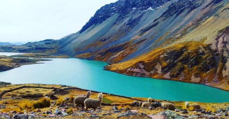 Ausangate Tour 7 Lagoons 1 Day Cusco - Tour Overview