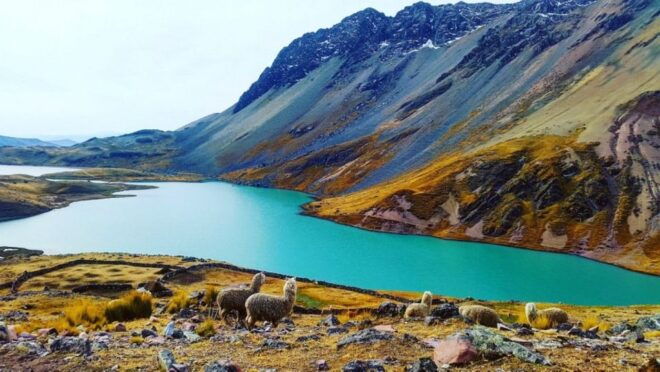 Ausangate Tour 7 Lagoons 1 Day Cusco - Inclusions