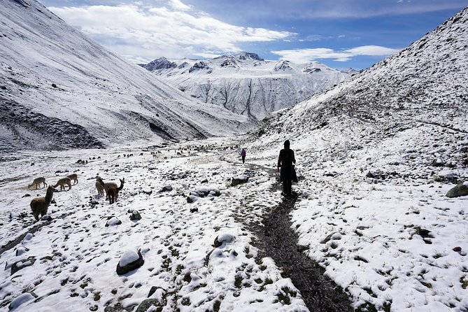 Ausangate Trek 6 Days by Rainbow Mountain All-Included - Booking and Pricing Information