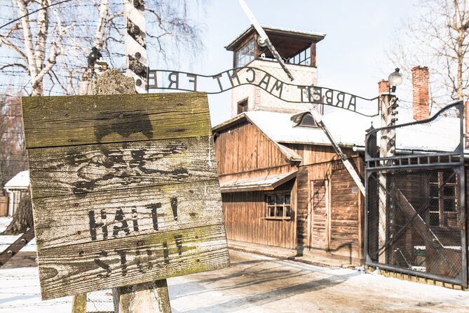 Auschwitz-Birkenau and Wieliczka Salt Mine Full Day Tour - Tour Details