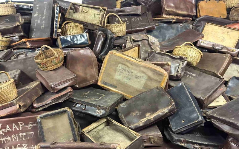 Auschwitz-Birkenau Day Tour from Krakow - Who should choose this trip