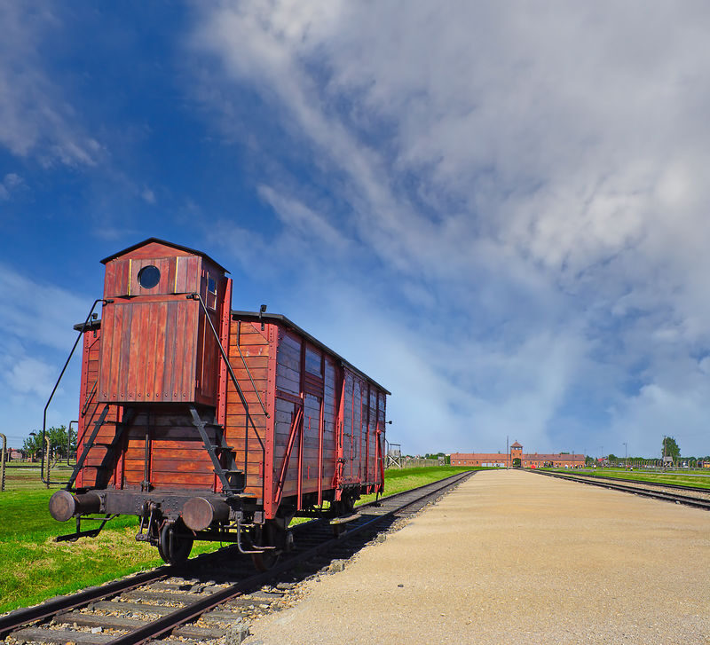 Auschwitz-Birkenau Day Tour from Krakow with Hotel Pickup - Birkenau: scale, tracks, and memorial areas