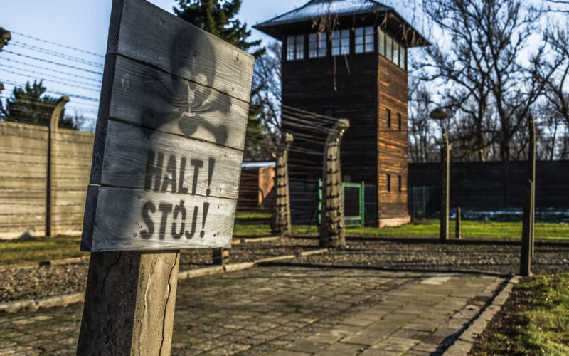 Auschwitz-Birkenau Day Tour from Krakow with Multiple Guide Language Option - Key points to know before you book