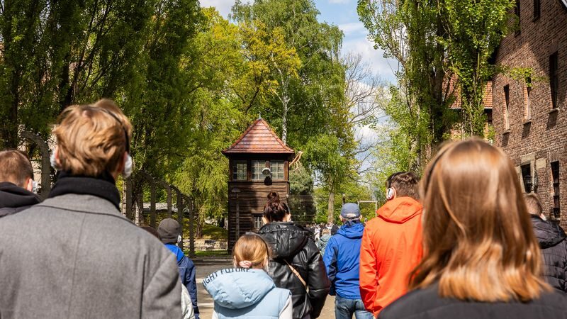 Auschwitz-Birkenau Day Tour from Krakow with Round-Trip Transport - Birkenau: space, silence, and scale