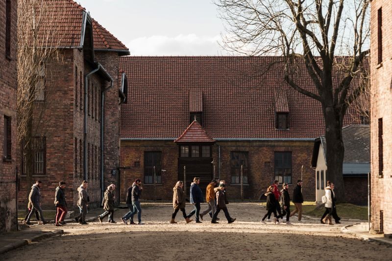 Auschwitz-Birkenau Day Tour from Krakow with Round-Trip Transport - Guides and group pace