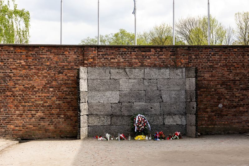 Auschwitz-Birkenau Day Tour from Krakow with Round-Trip Transport - Practical details that can save a headache
