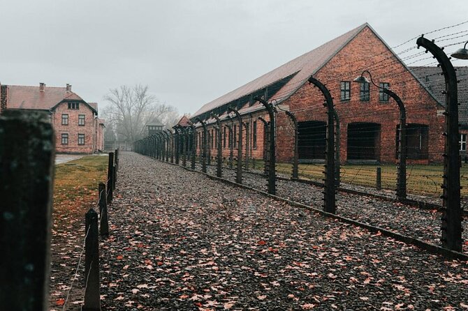Auschwitz Birkenau From Krakow Private Tour - What to Expect