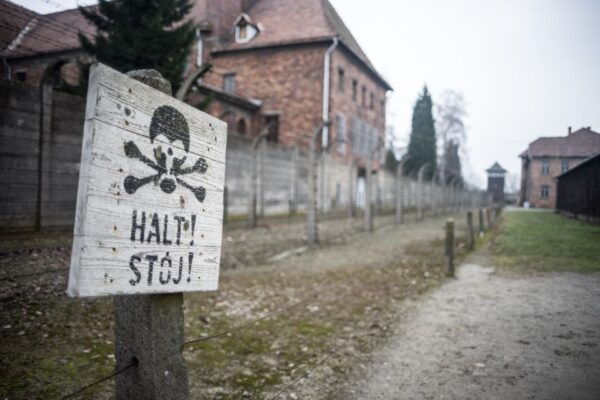 Auschwitz-Birkenau Full-Day Tour From Lodz by Private Car - Group Size and Transportation