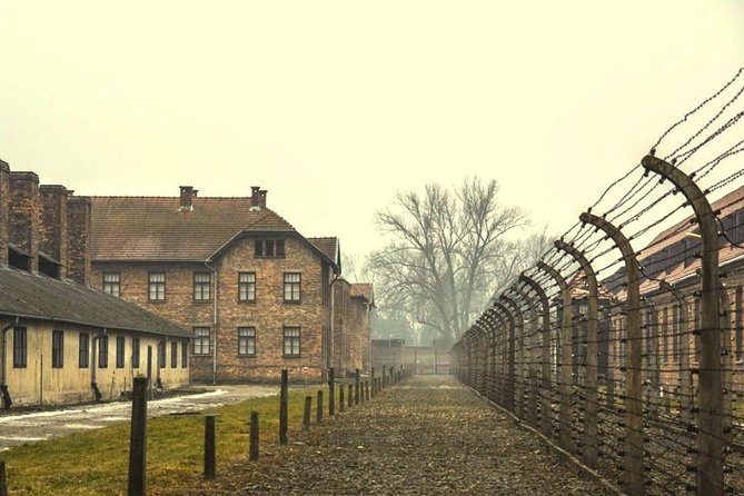 Auschwitz-Birkenau Guided Tour From Krakow - Tour Overview