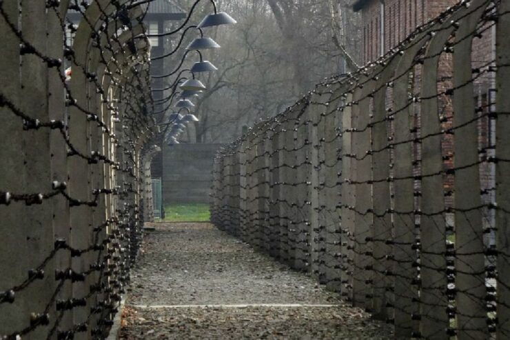Auschwitz-Birkenau Guided Tour & Transfer From Krakow - Tour Duration and Flexibility