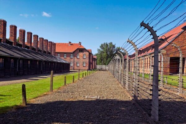 Auschwitz-Birkenau: Guided Tour With Fast Track Ticket - Important Considerations