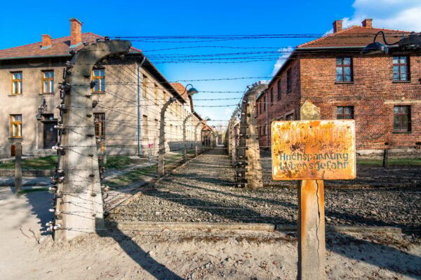 Auschwitz-Birkenau: Guided Tour With Fast Track Ticket - Tour Options From Krakow