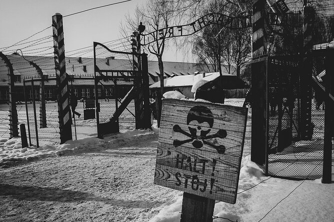 Auschwitz Birkenau Guided Tour With Luxury Transport From Krakow - Reviews and Ratings