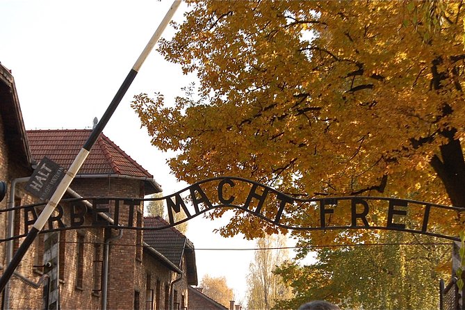 Auschwitz Birkenau Guided Tour With Optional Lunch From Krakow - Good To Know