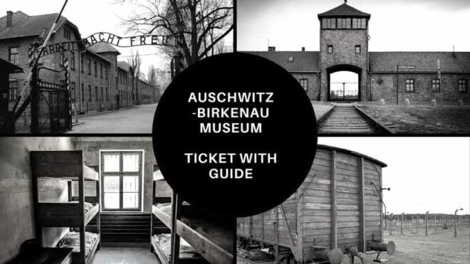 Auschwitz-Birkenau: Memorial Entry Ticket and Guided Tour - Accessibility and Suitability