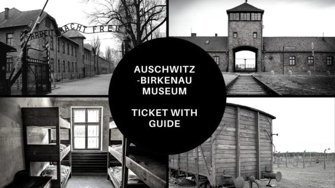 Auschwitz-Birkenau: Memorial Entry Ticket and Guided Tour - Memorial History and Statistics