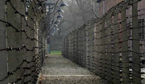 Auschwitz-Birkenau: Memorial Entry Ticket and Guided Tour - Preparing for Your Visit
