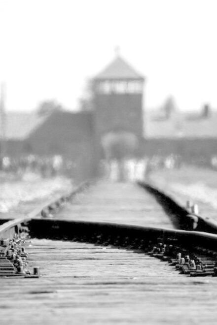 Auschwitz-Birkenau: Memorial Entry Ticket and Guided Tour - Tour Duration and Inclusions