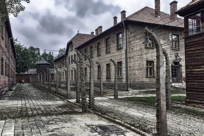 Auschwitz-Birkenau: Museum Entry Ticket With Guided Tour - Accessibility and Requirements