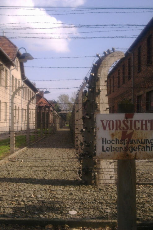 Auschwitz-Birkenau Museum: Guided Tour From Krakow - Auschwitz History