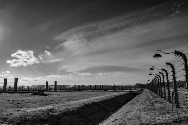Auschwitz-Birkenau Museum: Guided Tour From Krakow - Itinerary Details