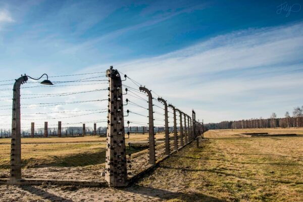 Auschwitz-Birkenau Museum: Guided Tour From Krakow - Frequently Asked Questions