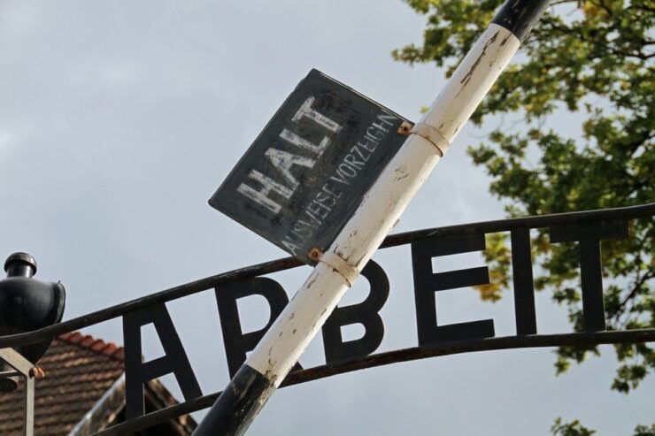 Auschwitz-Birkenau Museum Tour From Krakow - Historical Experience