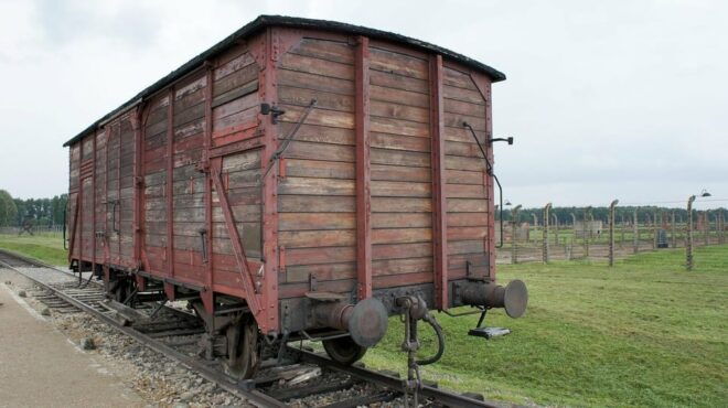 Auschwitz-Birkenau & Salt Mine Tour in One Day From Krakow - Practical Information