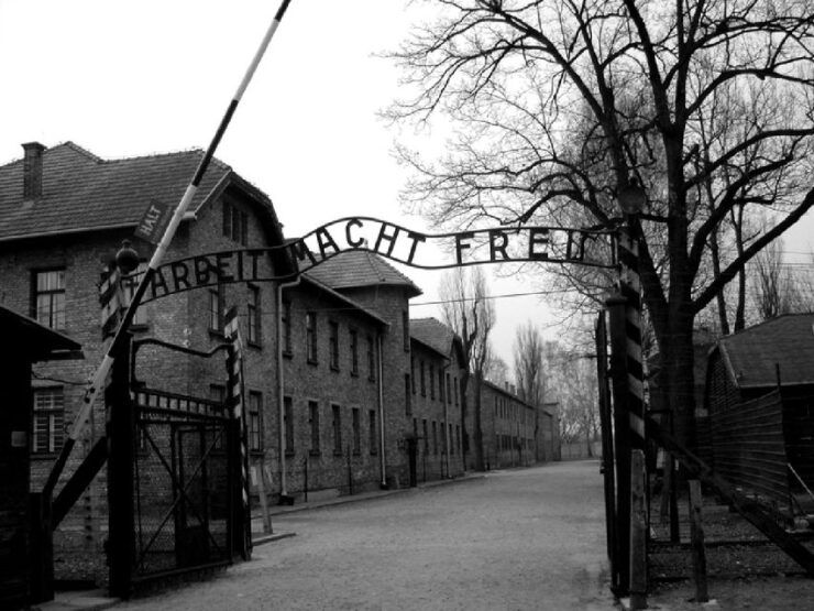 Auschwitz-Birkenau & Salt Mine Tour in One Day From Krakow - Activity Details