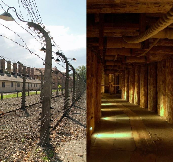 Auschwitz-Birkenau & Salt Mine Tour in One Day From Krakow - Experience Highlights