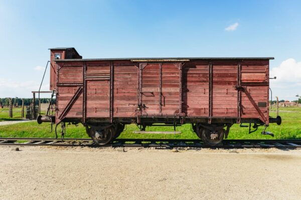 Auschwitz-Birkenau: Skip-the-Line Entry Ticket & Guided Tour - Visiting Auschwitz II Birkenau