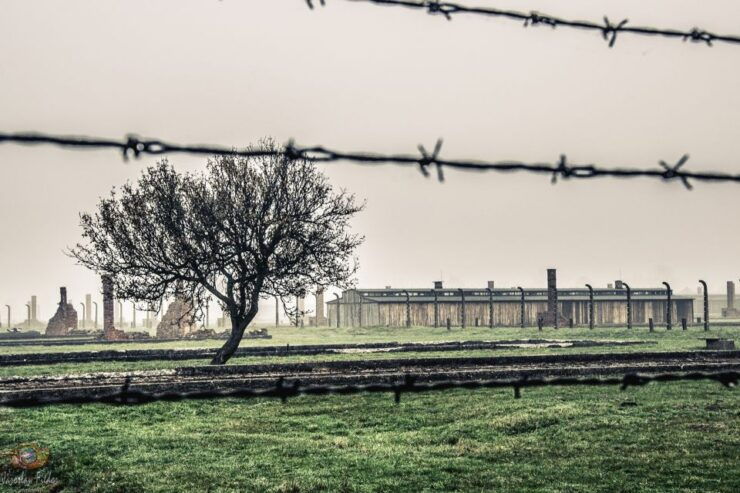 Auschwitz-Birkenau: Skip-the-Line Entry Ticket & Guided Tour - Experience and Highlights