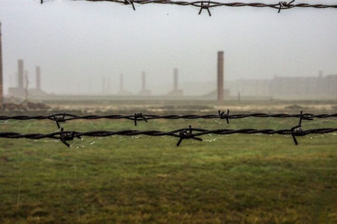 Auschwitz-Birkenau: Skip-the-Line Entry Ticket & Guided Tour - Tour Details and Inclusions