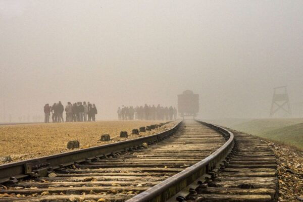 Auschwitz-Birkenau: Skip-the-Line Entry Ticket & Guided Tour - Exploring the Auschwitz-Birkenau Site