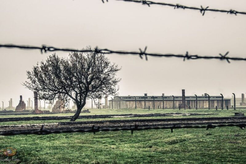 Auschwitz-Birkenau: Skip-the-Line Entry Ticket & Guided Tour - Good To Know