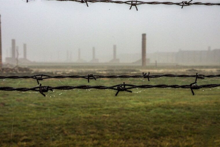 Auschwitz-Birkenau: Skip-the-Line Entry Ticket & Guided Tour - The Sum Up